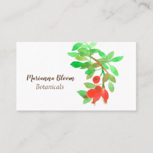 Rosehips Ro Herb Botanical Plant Red Visitkort