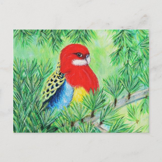 Rosella Bird Painting Vykort (Framsida)
