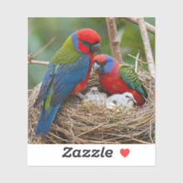 Rosella Birds Klistermärken