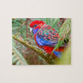 Rosella-fåglar i Australien Pussel