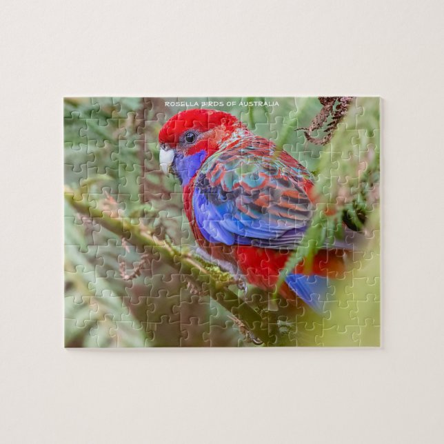 Rosella-fåglar i Australien Pussel (Horisontell)