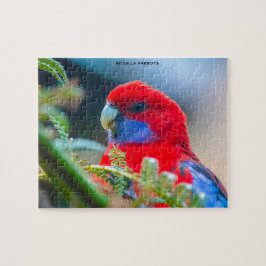 Rosella Papegojor Australien Pussel