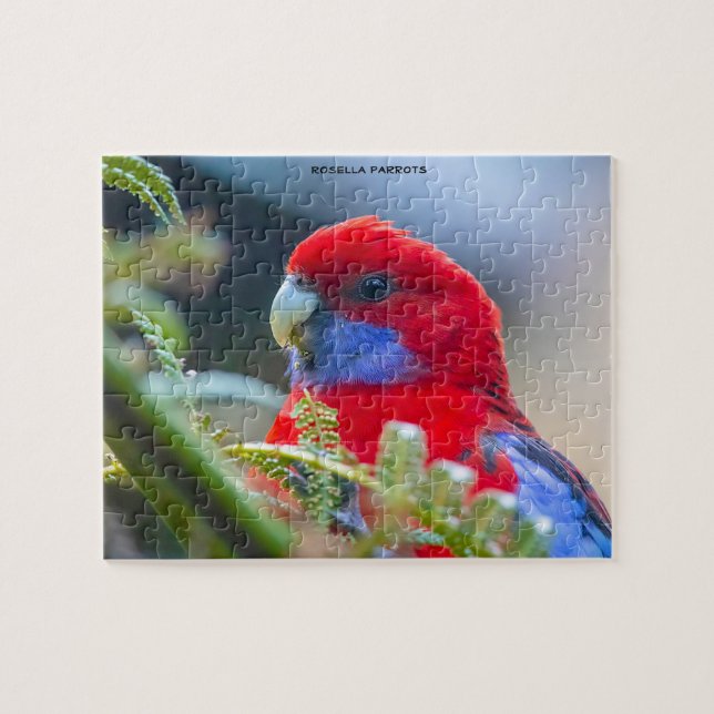 Rosella Papegojor Australien Pussel (Horisontell)
