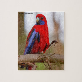 Rosella Papegojor Australien Pussel
