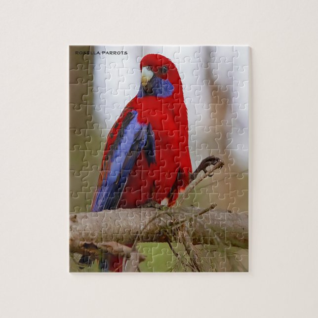 Rosella Papegojor Australien Pussel (Vertikal)