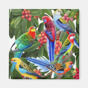 Rosella papegojor i magnet för Figträd