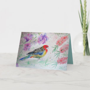 Rosella Parrot med Bottlebrush Birthday Card Kort