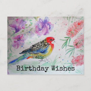 Rosella Parrot med Bottlebrush Birthday Postcard Vykort