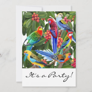Rosella Parrots Anpassade Inbjudan