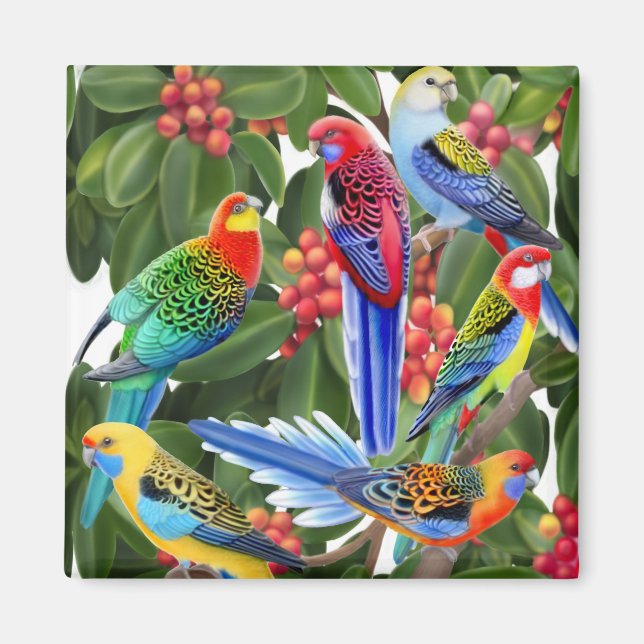 Rosella Parrots i Fig Träd Magnet (Framsidan)
