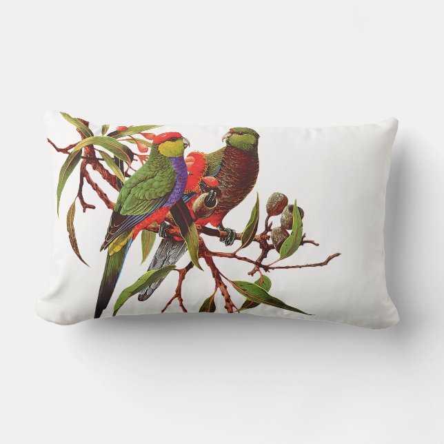 ROSELLAS PÅ VITdubbla sid kudder dämpar Lumbarkudde (Framsida)