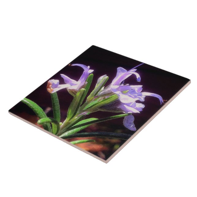 Rosemary Flowers Kakelplatta (Sidan)
