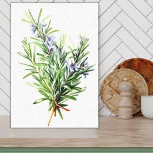 Rosemary Fresh Herb Watercolor Art för köket Canvastryck