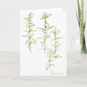 Rosemary Herb Botanical Teckning Blank Note Card Kort