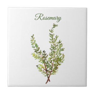 Rosemary Herb Greenery Kitchen Culinary Grönt chic Kakelplatta