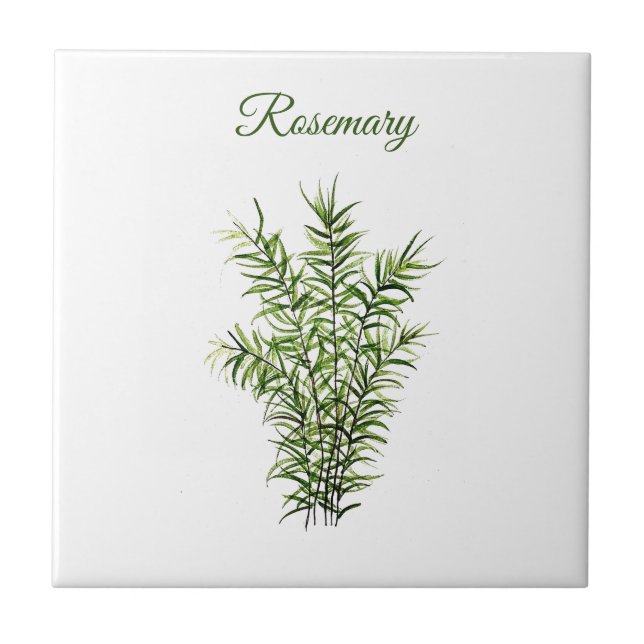 Rosemary Herb Greenery Kitchen Culinary Grönt chic Kakelplatta (Framsidan)