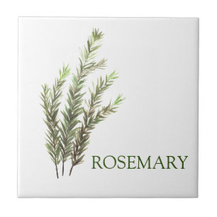 Rosemary Herb Grönt Kitchen Vintage Grönt Kakelplatta