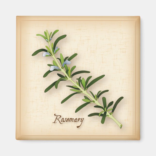 Rosemary Herb Magnet (Framsidan)