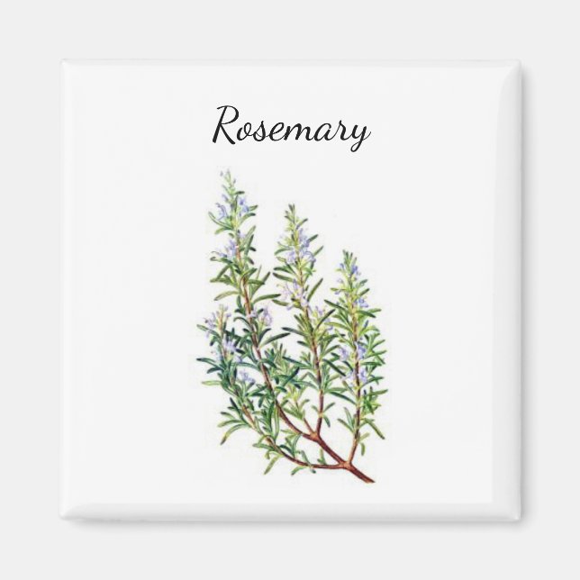 Rosemary Herb Magnet (Framsidan)