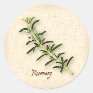 Rosemary Herb Round Stickers Runt Klistermärke