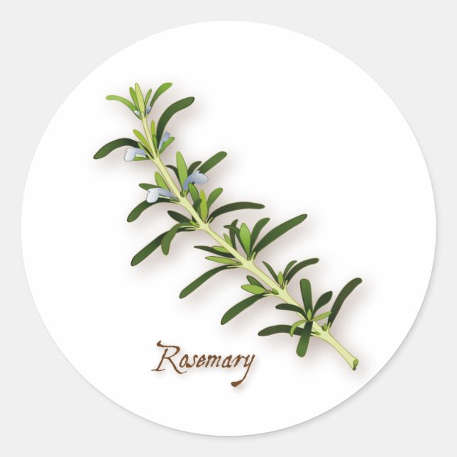 Rosemary Herb Round Stickers Runt Klistermärke (Framsida)