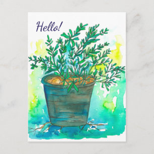 Rosemary Herb Watercolor Hej Vykort