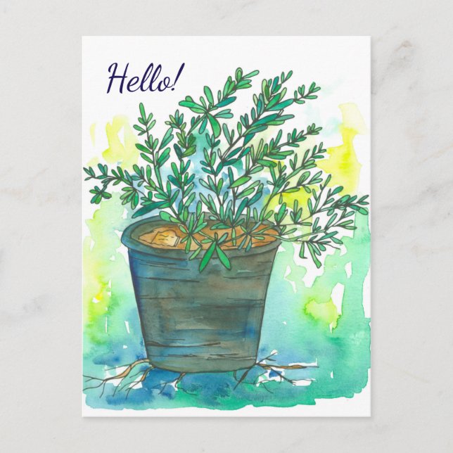 Rosemary Herb Watercolor Hej Vykort (Framsida)