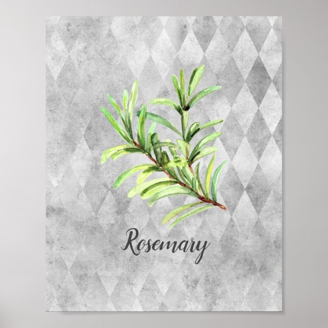 Rosemary Herb Watercolor Poster (Framsidan)