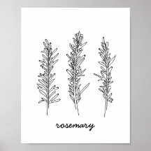 Rosemary Illustration Skriv ut