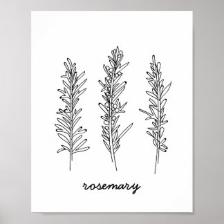 Rosemary Illustration Skriv ut Poster