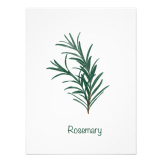Rosemary Kitchen Wall Art Fototryck