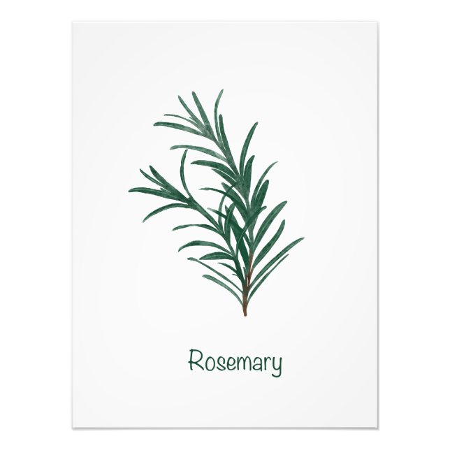 Rosemary Kitchen Wall Art Fototryck (Framsidan)
