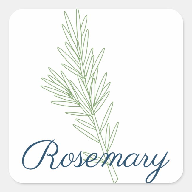 Rosemary Plant Fyrkantigt Klistermärke (Framsida)