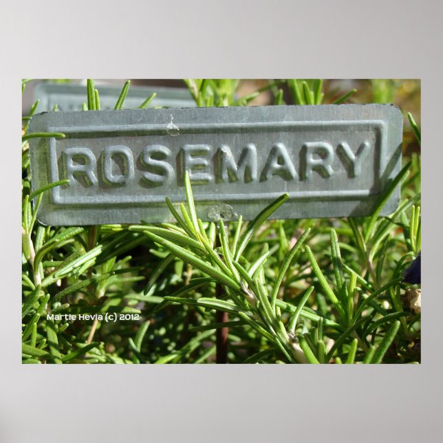 Rosemary Poster (Framsidan)