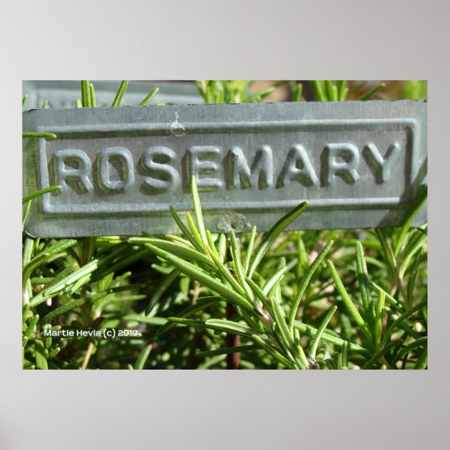 Rosemary Poster (Framsidan)