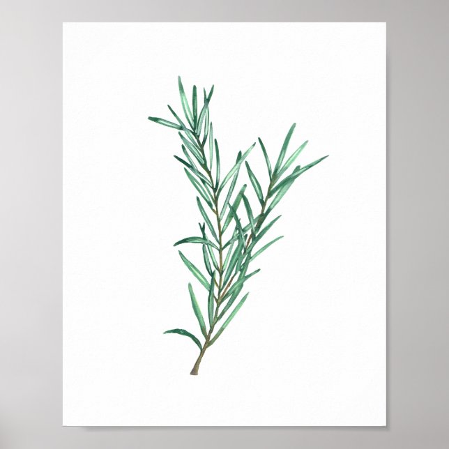 Rosemary Poster (Framsidan)