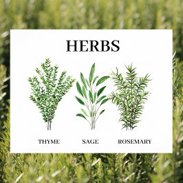 Rosemary Thyme Sage Örters Culinary Kitchen Chef Poster