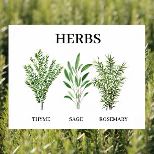 Rosemary Thyme Sage Örters Culinary Kitchen Chef Poster