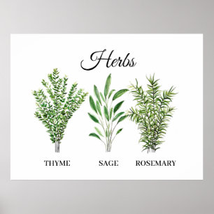 Rosemary Thyme Sage Örters Culinary Kitchen Chef Poster