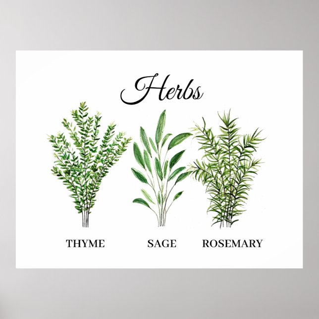 Rosemary Thyme Sage Örters Culinary Kitchen Chef Poster (Framsidan)