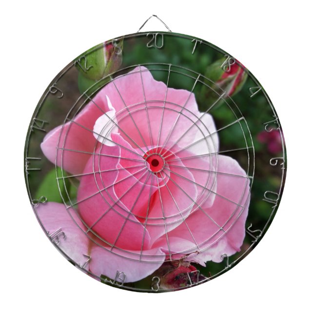 rosen i rosa färg blommar darttavla (Framsidan)