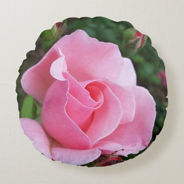 rosen i rosa färg blommar rund kudde (Framsidan)