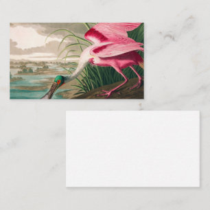 Rosen Skedstork av John James Audubon Visitkort