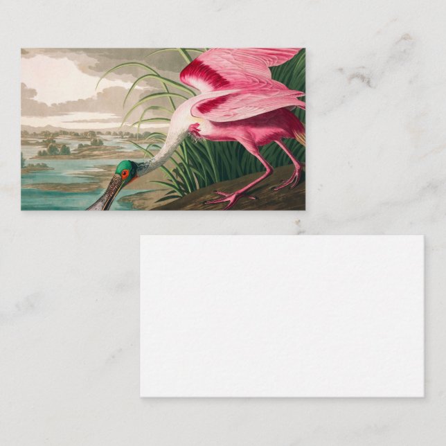 Rosen Skedstork av John James Audubon Visitkort (Fram/baksida)