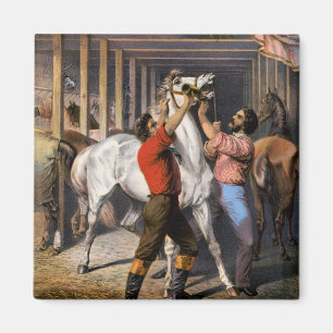 Rosenbergs Underbara Öster India Horse Invigorator Magnet
