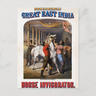 Rosenbergs Underbara Öster India Horse Invigorator Vykort