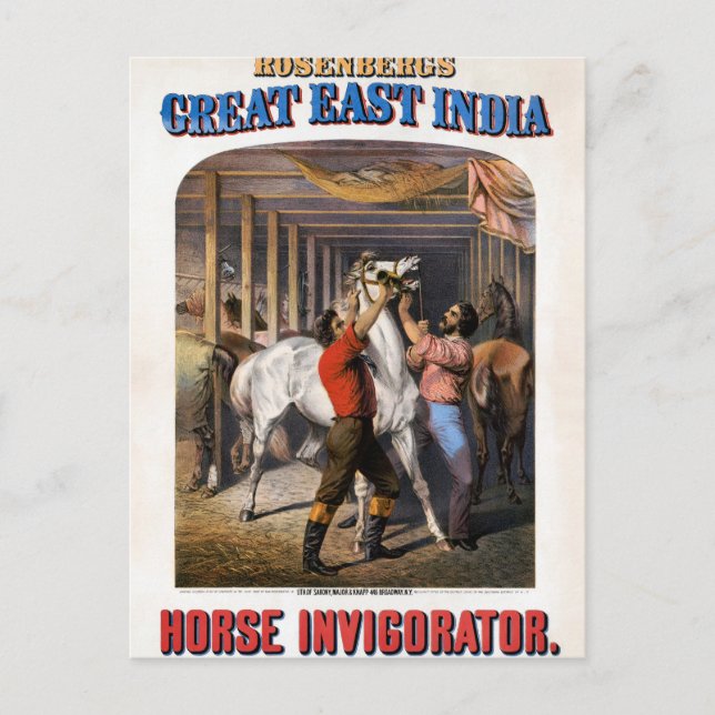 Rosenbergs Underbara Öster India Horse Invigorator Vykort (Framsida)
