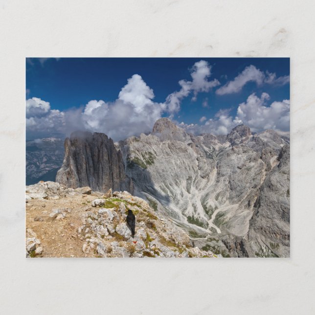 Rosengarten - Catinaccio-gruppen Vykort (Framsida)