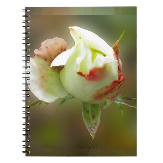 rosenknopp anteckningsbok med spiral (Framsidan)