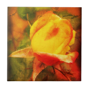 Rosenknopp Blommigt Art Fotomålning är inte tryc Kakelplatta